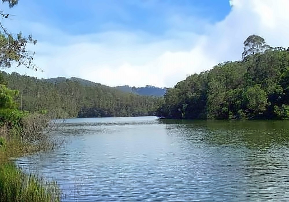 Berijam Lake, Kodaikanal