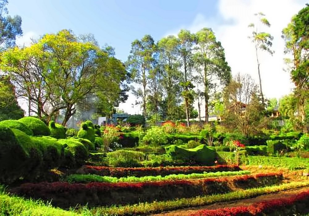 Chettiar Park, Kodaikanal