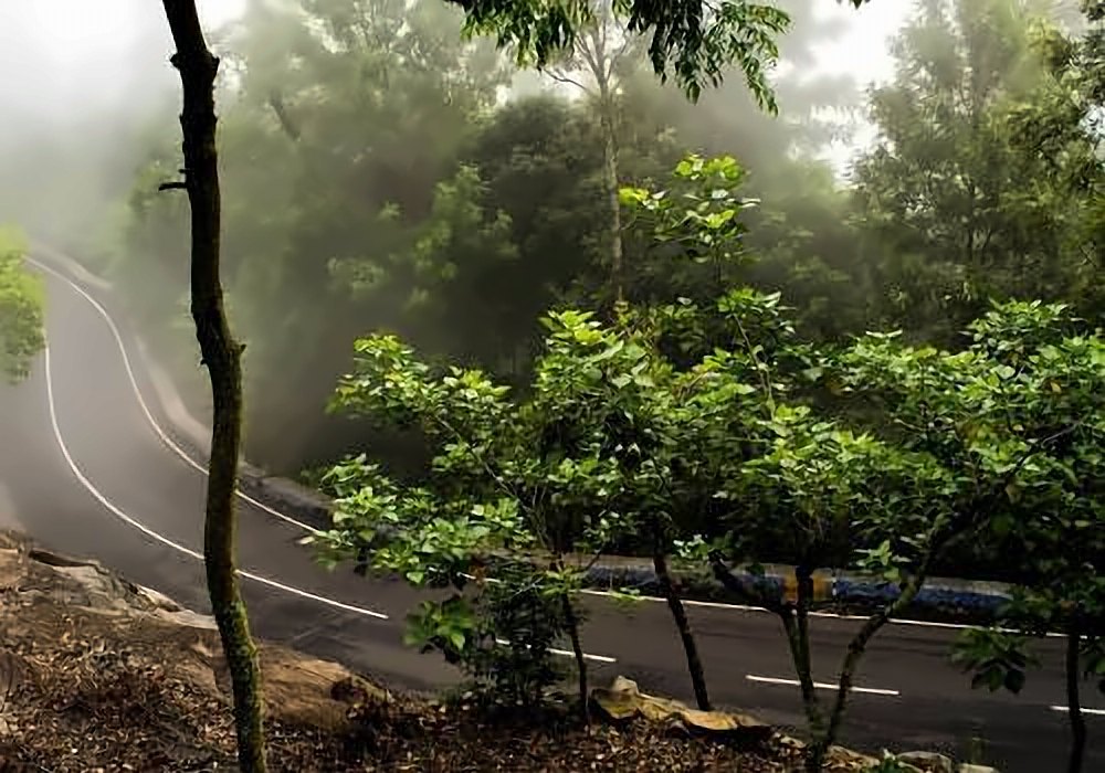 Loop Road Yercaud, Yercaud