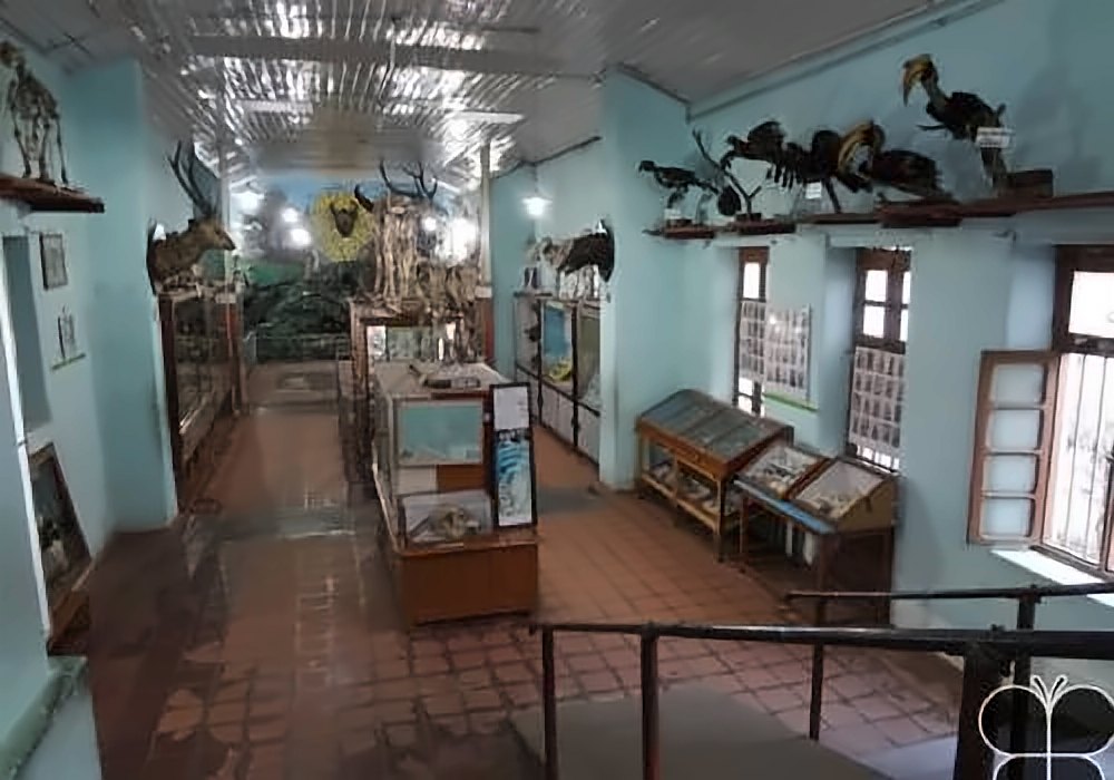 Shenbaganur Museum, Kodaikanal